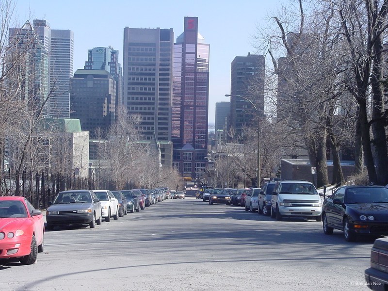 Montreal Skyline - Montreal 3-04 427